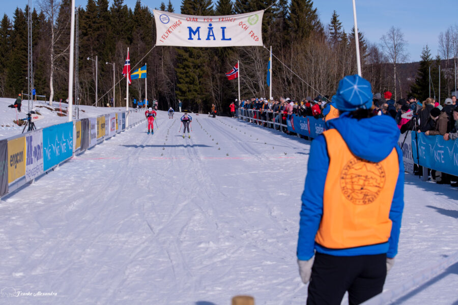 ski-313